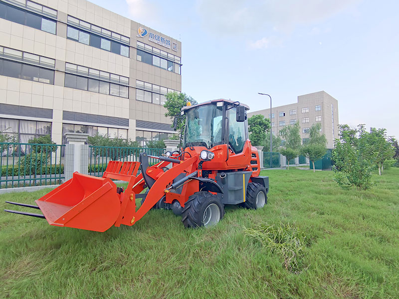 Land X Wheel loader DSC01065_proc2